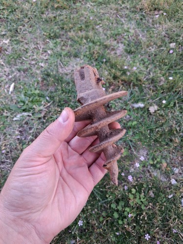 Trivella per buchi reticolato - trivella,